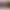 LG OLED™ evo AI 4K Smart TV 83”