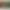 LG OLED™ AI 4K Smart TV 55"